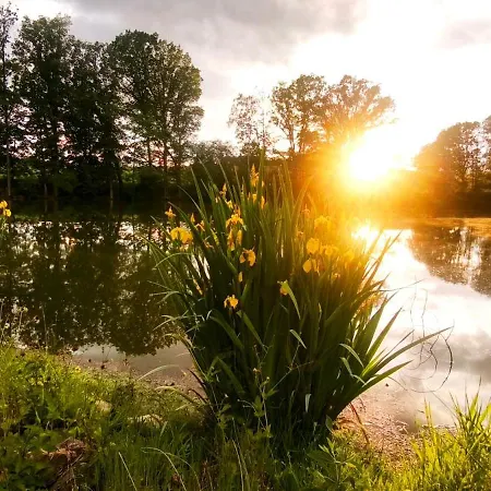 Spulka Hideaway - Romantic Forest Escape Near Prague Apartment *
